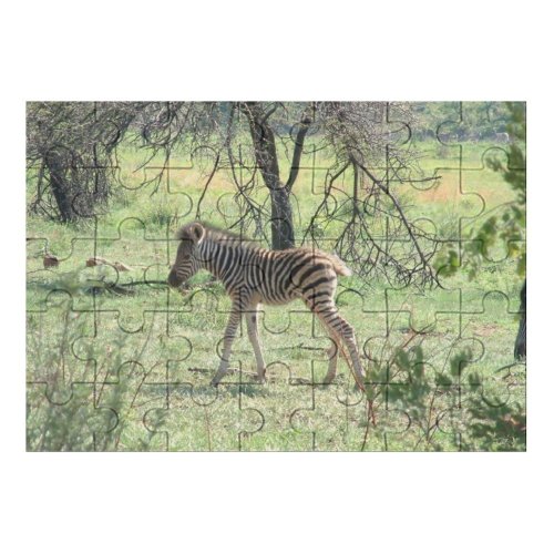 yanfind Picture Puzzle Zebra Wild Safari Game Africa Terrestrial Wildlife Vertebrate Grassland Plant Community Shrubland Family Game Intellectual Educational Game Jigsaw Puzzle Toy Set