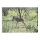 yanfind Picture Puzzle Zebra Wild Safari Game Africa Terrestrial Wildlife Vertebrate Grassland Plant Community Shrubland Family Game Intellectual Educational Game Jigsaw Puzzle Toy Set