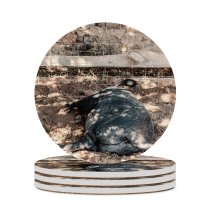yanfind Ceramic Coasters (round) Images Pig Spain Ibiza Spanje Wallpapers Pictures Boar Creative Hog Grey Family Game Intellectual Educational Game Jigsaw Puzzle Toy Set