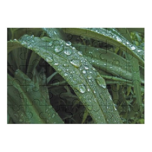 yanfind Picture Puzzle Dew  Drop Leaf Grass Terrestrial Plant Moisture Flower Stem Vascular Family Game Intellectual Educational Game Jigsaw Puzzle Toy Set