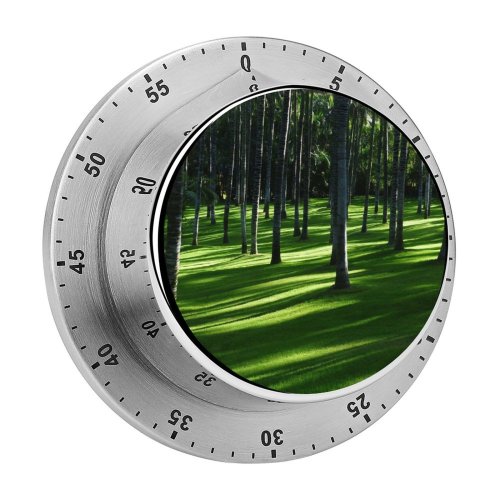 yanfind Timer Grass Trees Woods Daylight Forest Landscape 60 Minutes Mechanical Visual Timer