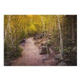 yanfind Picture Puzzle Collins Aspen Trees Pathway Forest Rocks Trails Beautiful Family Game Intellectual Educational Game Jigsaw Puzzle Toy Set