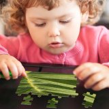 yanfind Picture Puzzle Leaf Terrestrial Plant Vegetation Arecales Saw Palmetto Tree Flower Family Game Intellectual Educational Game Jigsaw Puzzle Toy Set