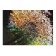 yanfind Picture Puzzle Dandelion Flowers Macro Dew Drops Colorful Bokeh 5K Family Game Intellectual Educational Game Jigsaw Puzzle Toy Set