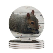 yanfind Ceramic Coasters (round) Squirrel Grey Outdoors Fur Ears Whiskers Vertebrate Fox Ground Squirrels Snout Rodent Family Game Intellectual Educational Game Jigsaw Puzzle Toy Set