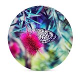 yanfind Ceramic Coasters (round) Images Insect Colorful Flora Montreal Wing Petal Stem Wallpapers Plant Bloom Antenna Family Game Intellectual Educational Game Jigsaw Puzzle Toy Set
