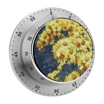 yanfind Timer Images Fall Autumn Petal Aster Grass Wallpapers Plant Asteraceae Pollen Free Pictures 60 Minutes Mechanical Visual Timer