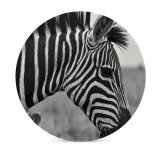 yanfind Ceramic Coasters (round) Creative Images Wildlife Wallpapers Grey Commons Zebra Pictures Family Game Intellectual Educational Game Jigsaw Puzzle Toy Set