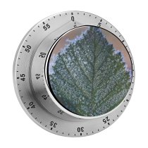 yanfind Timer Images Floral Mist Frost Foliage Public Snow Wallpapers Plant Outdoors Scenery Winter 60 Minutes Mechanical Visual Timer