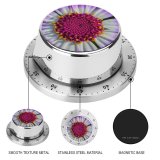 yanfind Timer Carsten Heyer Flowers Purple Flower Macro Closeup Petals  Bloom Spring Pericallis 60 Minutes Mechanical Visual Timer