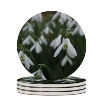 yanfind Ceramic Coasters (round) Images Spring Flowers Snow Snowdrop Wallpapers Plant Bulbs Amaryllidaceae Free Gardens Snowdrops Family Game Intellectual Educational Game Jigsaw Puzzle Toy Set