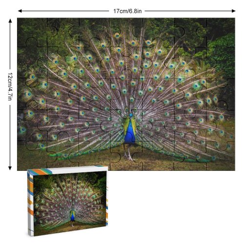 yanfind Picture Puzzle  Grass Beautiful Feathers Bird Trees Colorful 5K Family Game Intellectual Educational Game Jigsaw Puzzle Toy Set