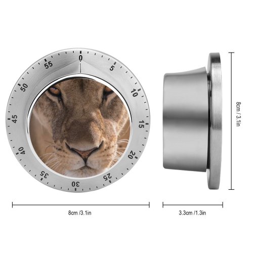 yanfind Timer Images Whiskers Africa Wildlife Safari   Free Lioness Watch Pictures Big 60 Minutes Mechanical Visual Timer