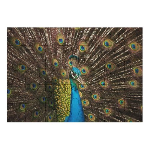 yanfind Picture Puzzle Peafowl  Indian Peafowl  Train Family Game Intellectual Educational Game Jigsaw Puzzle Toy Set
