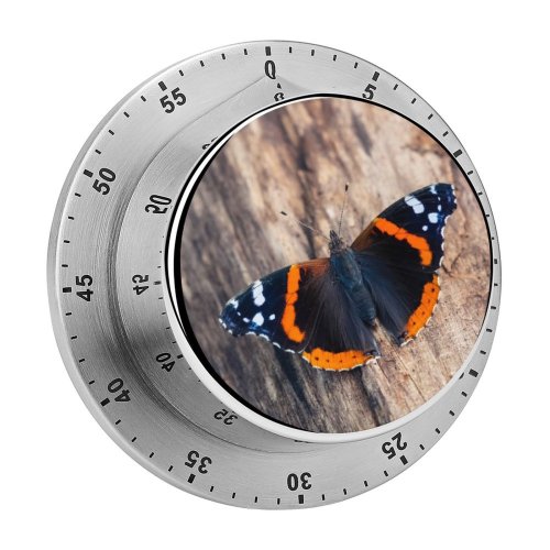 yanfind Timer Antenna Insect Autumn Nymphalid Natural Admiral Beauty Butterfly Wing Outdoors Hungary Arthropod 60 Minutes Mechanical Visual Timer