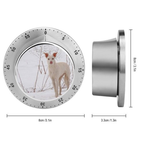 yanfind Timer Kryvyi Images Region Pet Last Wool Year's Dry Dnipropetrovsk Snow Grass Wallpapers 60 Minutes Mechanical Visual Timer