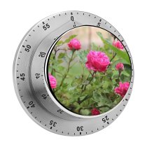 yanfind Timer Plants Petals Images Wallpapers Roses Rose Summer Tiny Flower Pictures Free Flowers 60 Minutes Mechanical Visual Timer