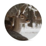 yanfind Ceramic Coasters (round) Images Snowing Christmas Antler Snow Wildlife Wallpapers Reh Tree Free Deer Schnee Family Game Intellectual Educational Game Jigsaw Puzzle Toy Set