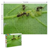 yanfind Picture Puzzle Ant Ants Leaf Insect Bug Bugs Pest Carpenter Invertebrate Membrane Winged Macro Family Game Intellectual Educational Game Jigsaw Puzzle Toy Set