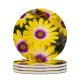 yanfind Ceramic Coasters (round) Creative Images Wallpapers Treasure Plant Commons Anther Garden  Flower Daisy Pollen Family Game Intellectual Educational Game Jigsaw Puzzle Toy Set