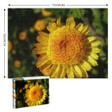 yanfind Picture Puzzle Golden Flower Little  Flowering Plant Petal Pollen English Marigold Annual Wildflower Family Game Intellectual Educational Game Jigsaw Puzzle Toy Set
