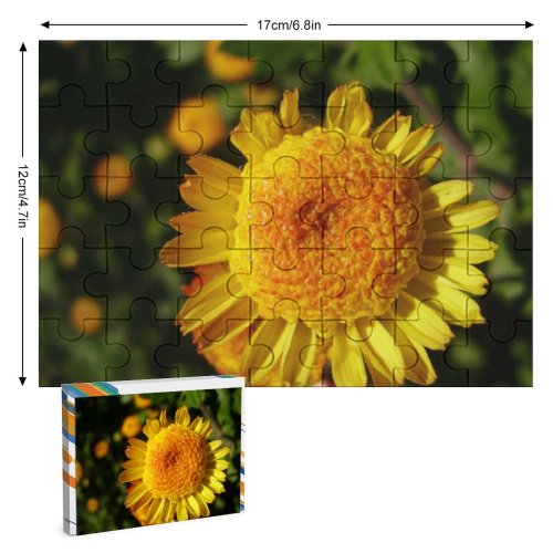 yanfind Picture Puzzle Golden Flower Little  Flowering Plant Petal Pollen English Marigold Annual Wildflower Family Game Intellectual Educational Game Jigsaw Puzzle Toy Set