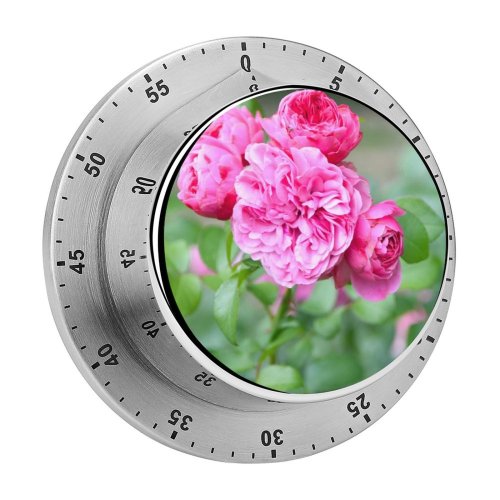 yanfind Timer Poznań Geranium Images Carnation Rose Petal Peony Dahlia Plant Polska Garden Stock 60 Minutes Mechanical Visual Timer