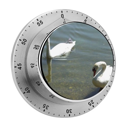yanfind Timer Swans Lake Bird Birds  Vertebrate Beak Ducks Geese Duck Waterfowl 60 Minutes Mechanical Visual Timer