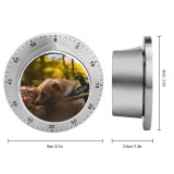 yanfind Timer Lovely Golden Images Pet Wallpapers Plant Free Forest Pictures Strap Dog Leaf 60 Minutes Mechanical Visual Timer