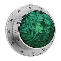 yanfind Timer Leaves Spring 60 Minutes Mechanical Visual Timer