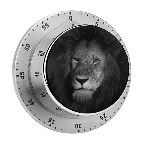 yanfind Timer Maasai Images Lion Wildlife Wallpapers National Grey Pictures Kenya Mara Free 60 Minutes Mechanical Visual Timer