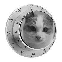 yanfind Timer Lovely Images Pet Manx Kids Siamese Wallpapers Pictures Angora Creative Pussy Cat 60 Minutes Mechanical Visual Timer
