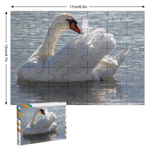 yanfind Picture Puzzle  Lake Balaton Ripples Preen Preening Cleaning Serene Peaceful Feather Feathers Beak Family Game Intellectual Educational Game Jigsaw Puzzle Toy Set