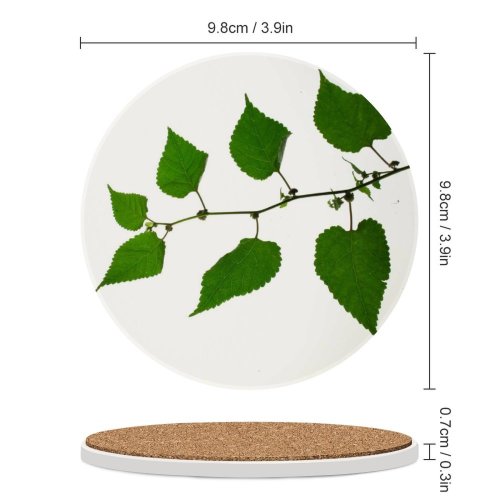 yanfind Ceramic Coasters (round)  Plant Leaf Leaves Flower Tree  Birch Swamp Flowering Elm Twig Family Game Intellectual Educational Game Jigsaw Puzzle Toy Set