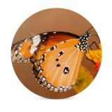 yanfind Ceramic Coasters (round) Images Taiwan Moth Insect Wing Public Antennae Wallpapers Plant Garden Borisworkshop Outdoors Family Game Intellectual Educational Game Jigsaw Puzzle Toy Set