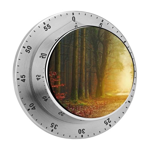 yanfind Timer Johannes Plenio Forest Road Autumn Fall Foliage Light Foggy 60 Minutes Mechanical Visual Timer