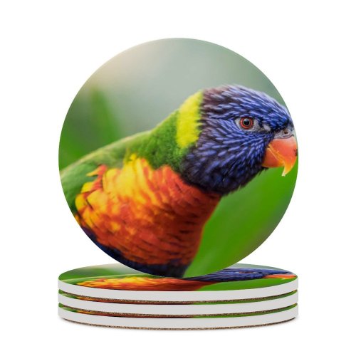 yanfind Ceramic Coasters (round) William Warby Rainbow Lorikeet Colorful Closeup Bokeh Bird Family Game Intellectual Educational Game Jigsaw Puzzle Toy Set
