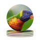 yanfind Ceramic Coasters (round) William Warby Rainbow Lorikeet Colorful Closeup Bokeh Bird Family Game Intellectual Educational Game Jigsaw Puzzle Toy Set