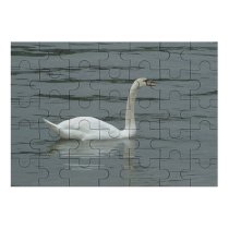 yanfind Picture Puzzle  Lake District Windermere Elegant Bird Vertebrate Ducks Geese Swans Beak Tundra Family Game Intellectual Educational Game Jigsaw Puzzle Toy Set