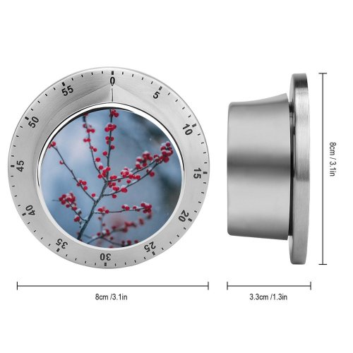 yanfind Timer Images Bush Christmas Flora Frost Snow Wallpapers Plant Branches Tree Stock Free 60 Minutes Mechanical Visual Timer