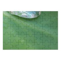 yanfind Picture Puzzle Leaf Stuff Tear Macro Closeup Texture  Drop Dew Moisture Organism Plant Family Game Intellectual Educational Game Jigsaw Puzzle Toy Set