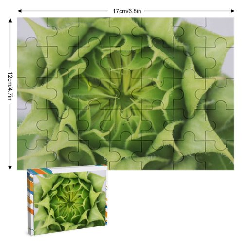 yanfind Picture Puzzle  Flower Spring Mayumi Leaf Plant Flowering Petal Stonecrop Family Family Game Intellectual Educational Game Jigsaw Puzzle Toy Set
