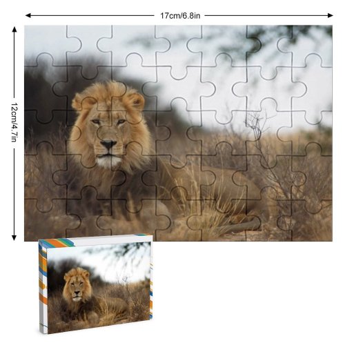 yanfind Picture Puzzle Images Lion Wildlife Africa Pictures PNG Kgalagadi Family Game Intellectual Educational Game Jigsaw Puzzle Toy Set