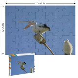 yanfind Picture Puzzle River Bird Sky Cloud Vertebrate Beak Shorebird Feather Wing Wildlife Egret Seabird Family Game Intellectual Educational Game Jigsaw Puzzle Toy Set