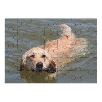 yanfind Picture Puzzle Golden Dog Swim Beach Fetch Pet Vertebrate Canidae Carnivore Sporting Family Game Intellectual Educational Game Jigsaw Puzzle Toy Set