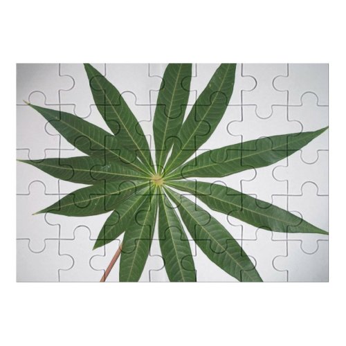 yanfind Picture Puzzle Leaf Closeup Tree Wishes Structure Plants Plant Flower Botany Flowering Terrestrial Stem Family Game Intellectual Educational Game Jigsaw Puzzle Toy Set