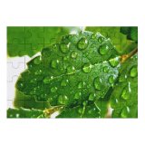 yanfind Picture Puzzle Leaf Plants Garden Chili Pepper Hojas Plantas Agua Maceta Dew Moisture Drop Family Game Intellectual Educational Game Jigsaw Puzzle Toy Set