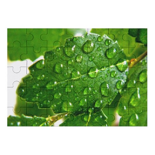 yanfind Picture Puzzle Leaf Plants Garden Chili Pepper Hojas Plantas Agua Maceta Dew Moisture Drop Family Game Intellectual Educational Game Jigsaw Puzzle Toy Set