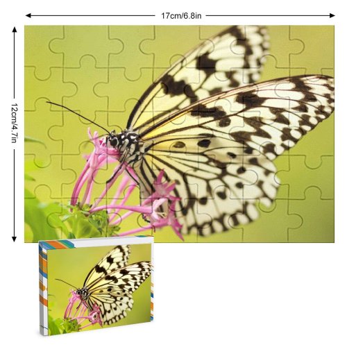 yanfind Picture Puzzle Images Taiwan Insect Spring Wing Wallpapers Borisworkshop Bloom Free Monarch Invertebrate Pictures Family Game Intellectual Educational Game Jigsaw Puzzle Toy Set