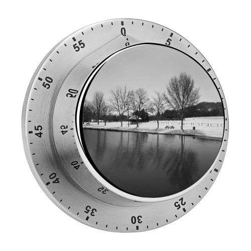 yanfind Timer Trees Lake Snow Winter Coldness Season Outdoor Scenery Landscape Frost Frosty Grey 60 Minutes Mechanical Visual Timer